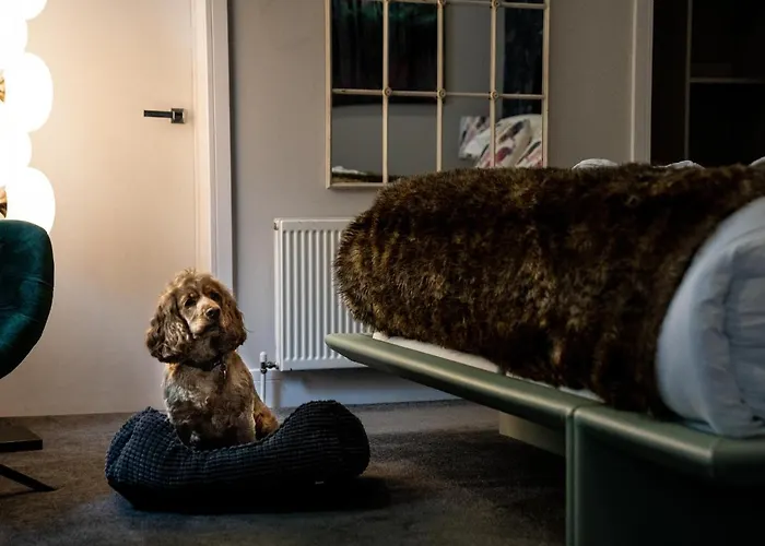 Broomhill Art Hotel